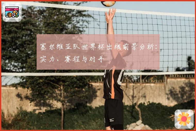 塞尔维亚队世界杯出线前景分析:实力、赛程与对手